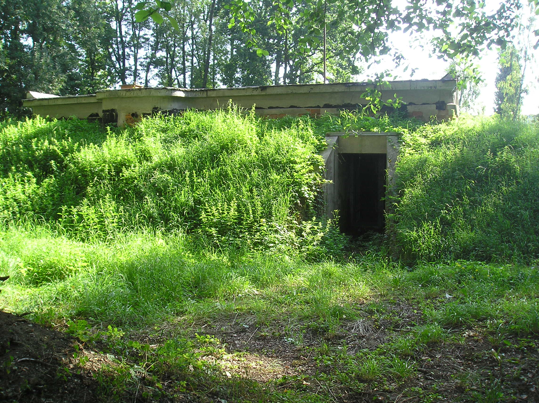 rfaedfrqfd 079.jpg