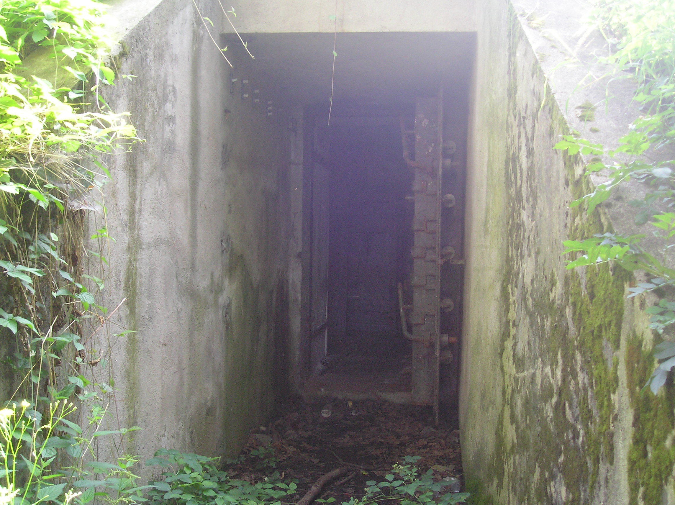 rfaedfrqfd 081.jpg