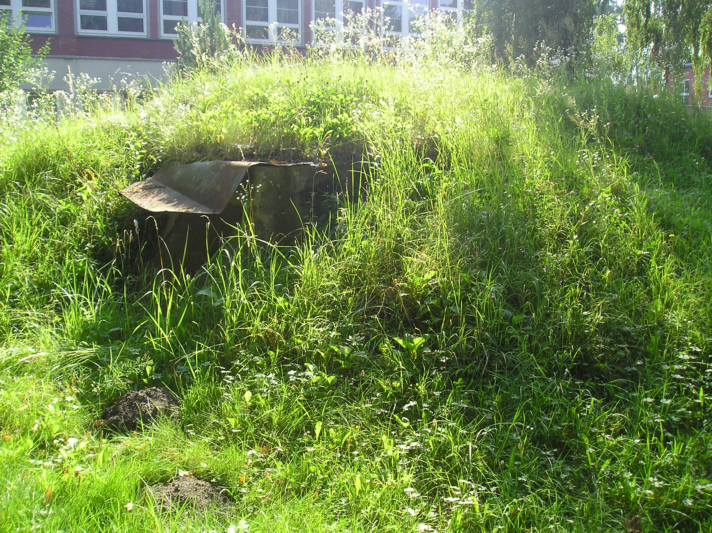 rfaedfrqfd 087.jpg