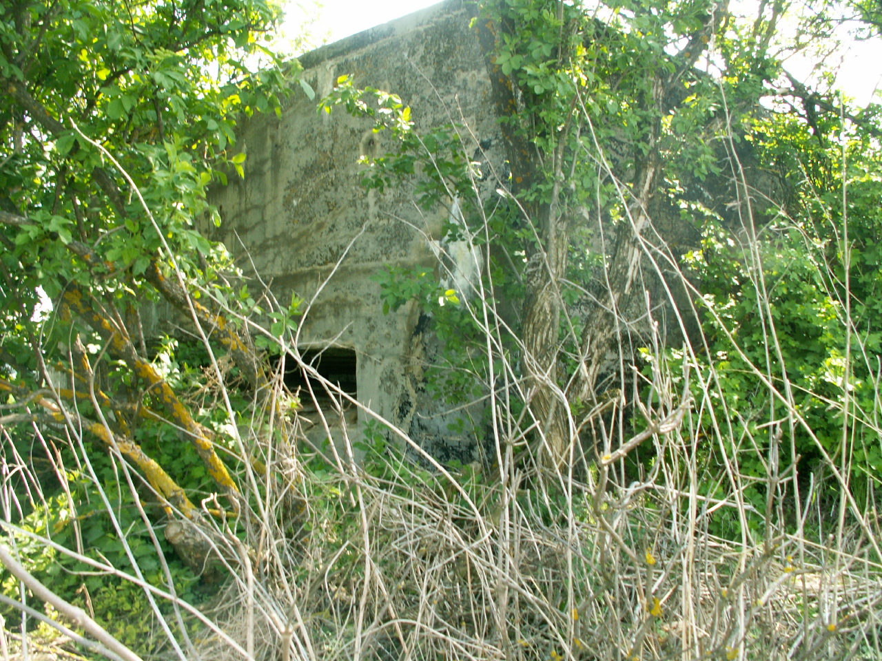 BUnkr 5